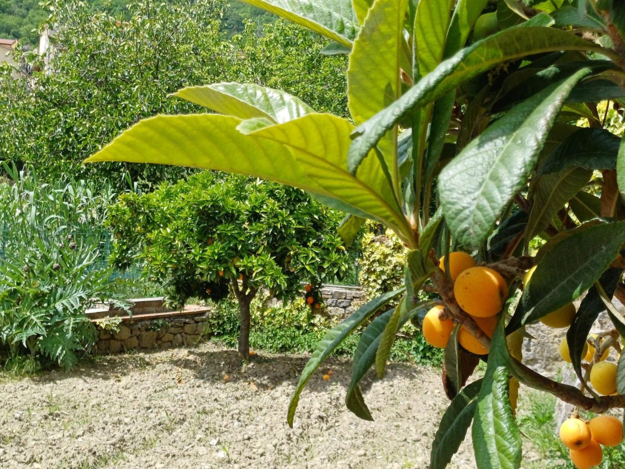 Country House B&B Antica Dimora Del Sole Camerota Exterior photo